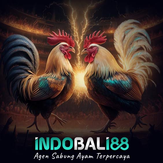 SV388 🐔 Rekomendasi No 1 Agen Sabung Ayam Online Di Indonesia